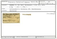 Karteikarte zum Belegmaterial von Nodosaria (Dentalina) expansa (Reuss, 1860)